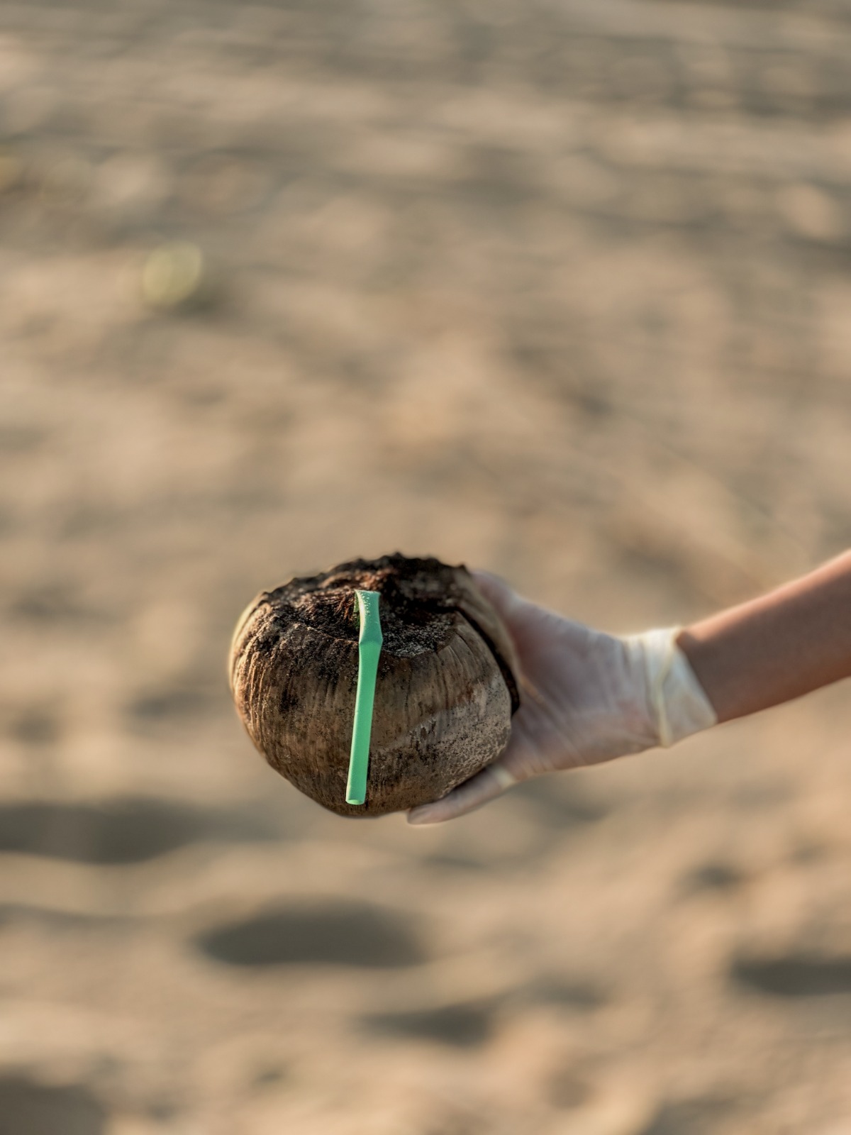 Galinhos se une em grande mutirão de limpeza pós-Carnaval no dia 28
